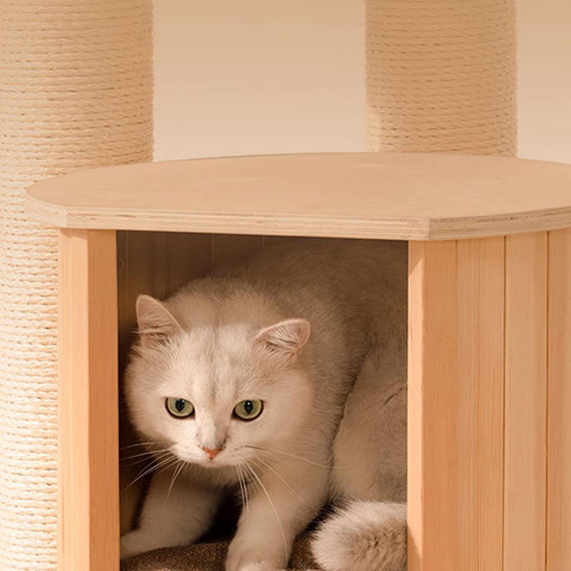 바닥에서 천장까지 내려 오는 나무 콘도 등반 프레임 고양이 나무 탑 바닥에서 천장까지 내려 오는 나무 콘도 등반 프레임 고양이 나무 탑