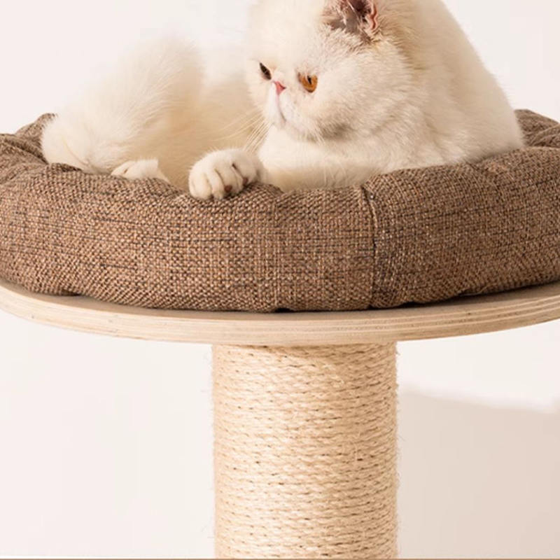 바닥에서 천장까지 내려 오는 나무 콘도 등반 프레임 고양이 나무 탑 바닥에서 천장까지 내려 오는 나무 콘도 등반 프레임 고양이 나무 탑