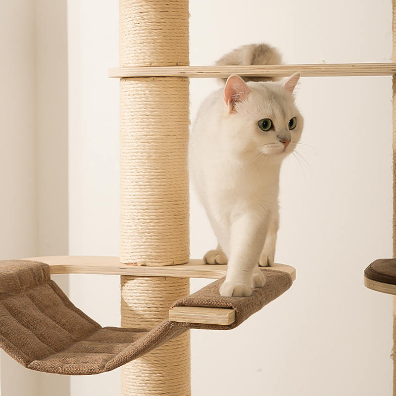 바닥에서 천장까지 내려 오는 나무 콘도 등반 프레임 고양이 나무 탑 바닥에서 천장까지 내려 오는 나무 콘도 등반 프레임 고양이 나무 탑