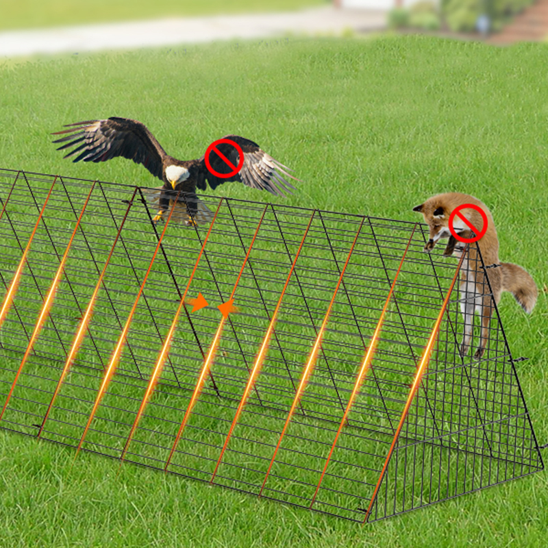 야외에서 야드를위한 대형 오리 치킨 쿠프 케이지 야외에서 야드를위한 대형 오리 치킨 쿠프 케이지