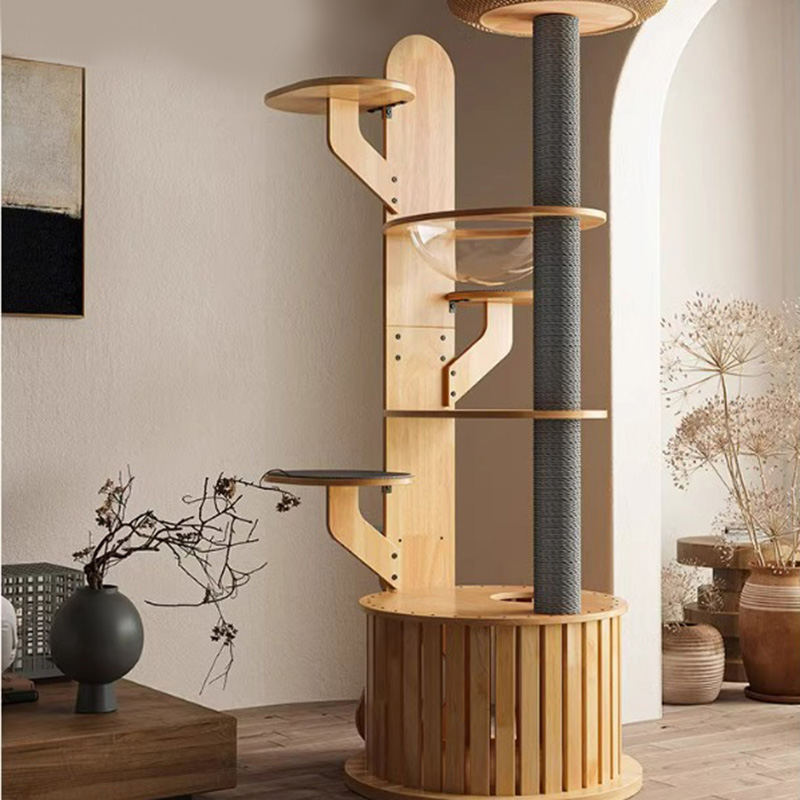 선인장 모양 나무 등반 프레임 우주 고양이 나무 우주 캡슐 선인장 모양 나무 등반 프레임 우주 고양이 나무 우주 캡슐