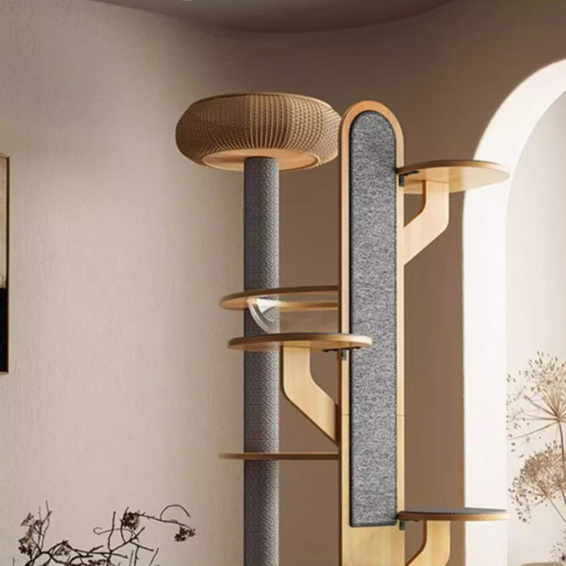 선인장 모양 나무 등반 프레임 우주 고양이 나무 우주 캡슐 선인장 모양 나무 등반 프레임 우주 고양이 나무 우주 캡슐