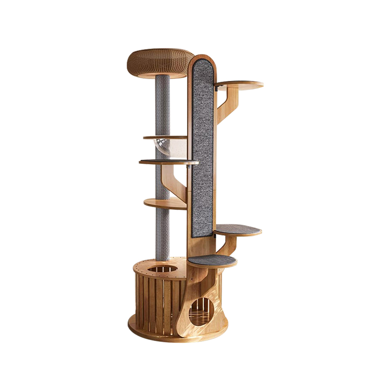 선인장 모양 나무 등반 프레임 우주 고양이 나무 우주 캡슐 선인장 모양 나무 등반 프레임 우주 고양이 나무 우주 캡슐