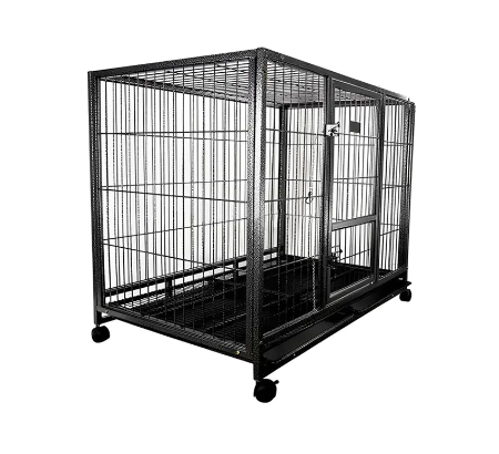 금속 케이지가 녹슬겠습니까?