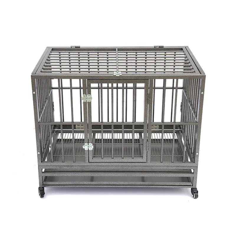 Pet Shop의 애완동물 집과 액세서리를 위한 편안한 공간을 만들어보세요.
